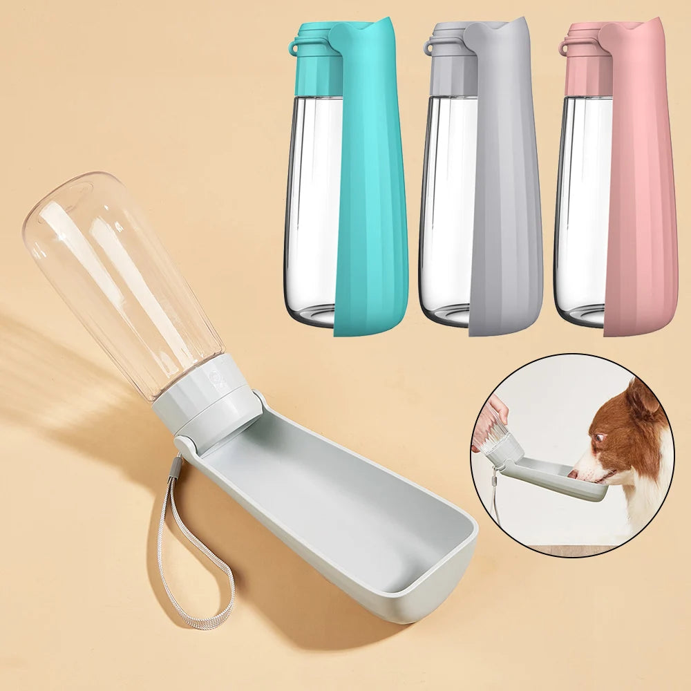 Travel Feeding Bowls