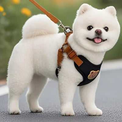 Pet Dog Harness Leash Set