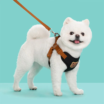Pet Dog Harness Leash Set