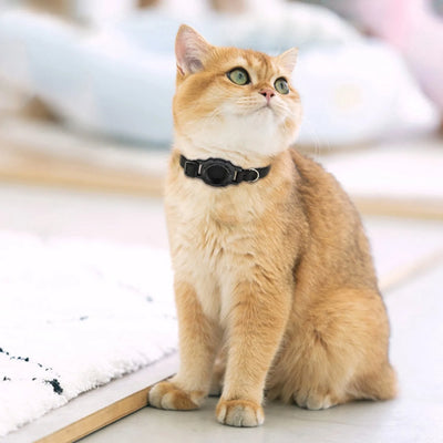 New Cat Collar with Tracker