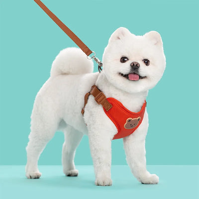 Pet Dog Harness Leash Set