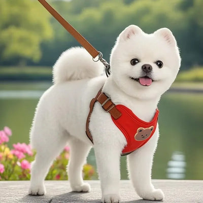 Pet Dog Harness Leash Set