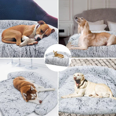 Large sofa dog bed