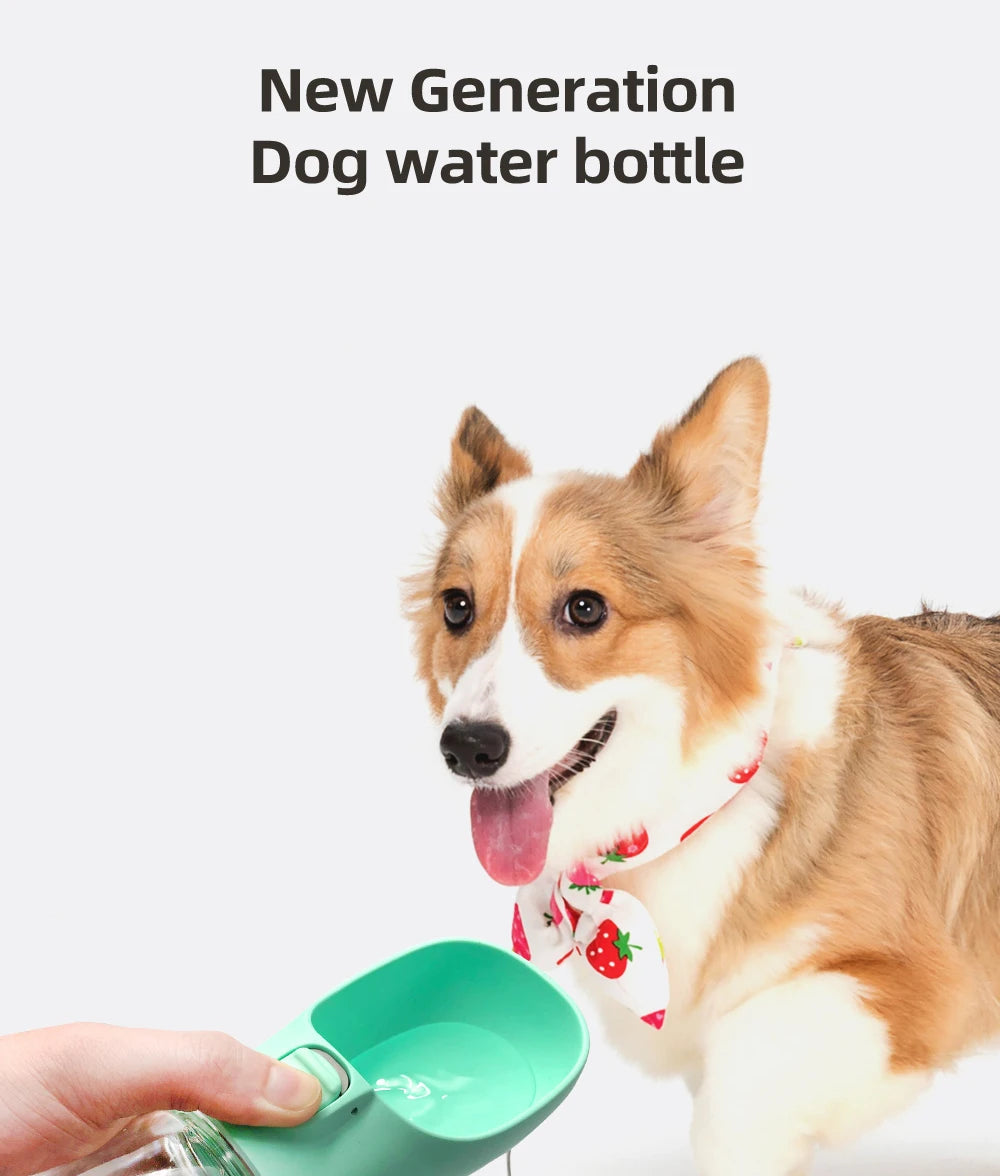 Travel Feeding Bowls