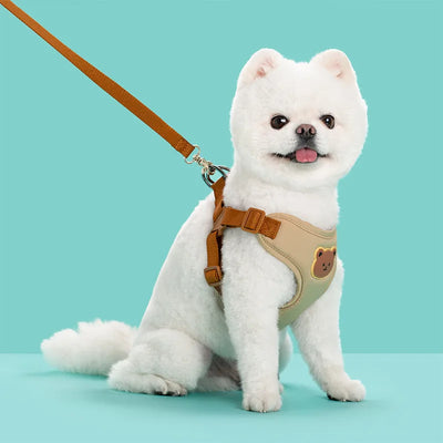 Pet Dog Harness Leash Set