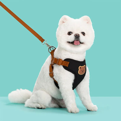 Pet Dog Harness Leash Set