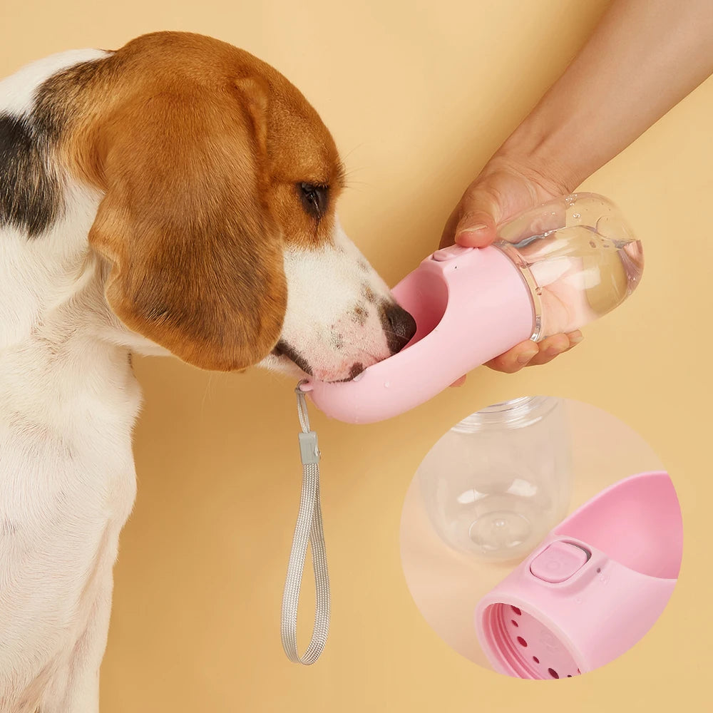 Travel Feeding Bowls