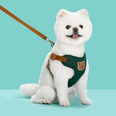 Pet Dog Harness Leash Set