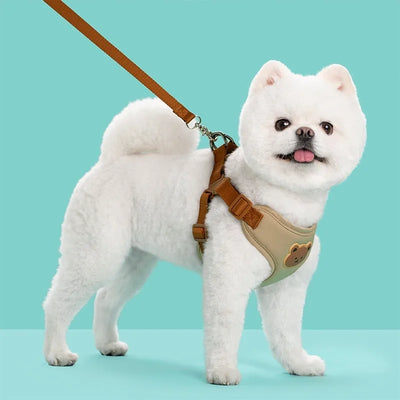 Pet Dog Harness Leash Set