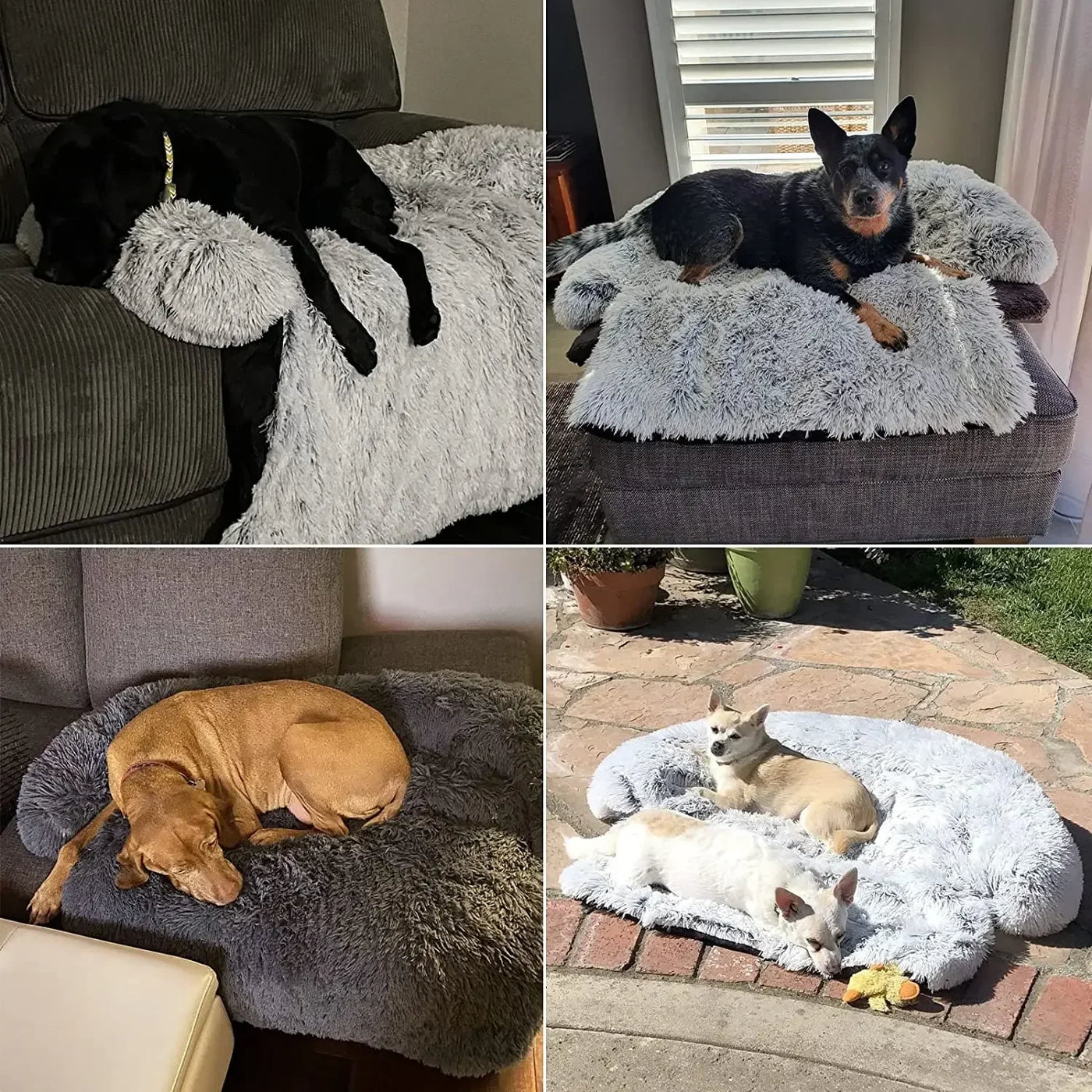 Large sofa dog bed
